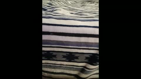 Snapshot of dat_guy8806 chatting on January 5, 2026, 11:52 pm dat_guy8806 online show from January 5, 2026, 11:52 pm