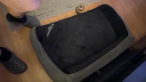 Snapshot of datguy127 chatting on February 18, 2025, 5:09 am Datguy127 online show from February 18, 2025, 5:09 am