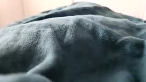 Snapshot of davdao3 chatting on February 16, 2025, 1:27 pm davdao3 online show from February 16, 2025, 1:27 pm