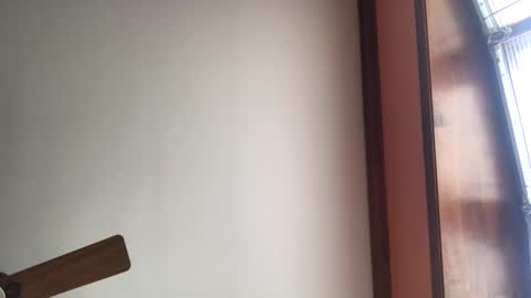 dave1964m online show from January 25, 2025, 3:20 pm