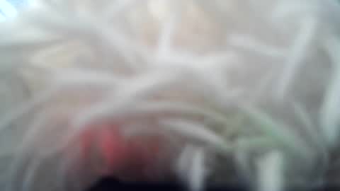 daverz3 online show from March 4, 2026, 8:42 am