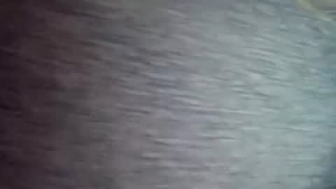 David1438 online show from April 12, 2026, 11:37 am