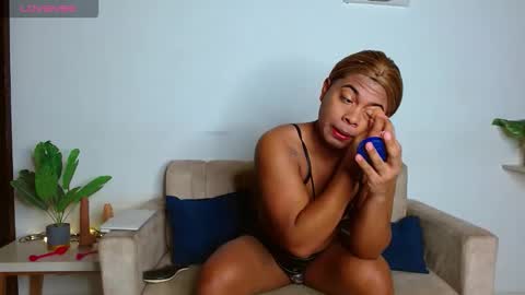 Noha online show from February 26, 2026, 10:03 am