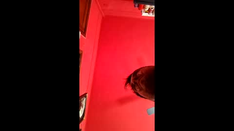 david_argentina online show from January 11, 2026, 6:35 pm