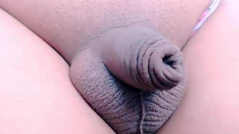 david_hotters online show from January 29, 2025, 10:58 am