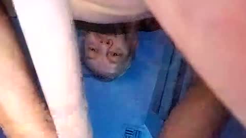 Snapshot of david_stone1969 chatting on March 8, 2025, 3:13 pm david_stone1969 online show from March 8, 2025, 3:13 pm