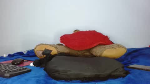 Snapshot of davidguti89 chatting on February 19, 2026, 3:13 am ramanuel89 online show from February 19, 2026, 3:13 am