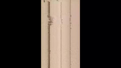 davidjoedirt1967597390 online show from April 21, 2026, 5:58 am