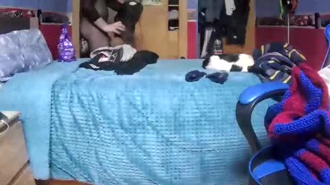 Snapshot of davidlg00 chatting on January 26, 2025, 10:35 pm Hugo online show from January 26, 2025, 10:35 pm