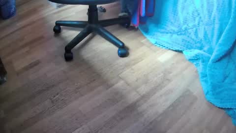 Snapshot of davidlg00 chatting on February 12, 2025, 11:51 am Hugo online show from February 12, 2025, 11:51 am