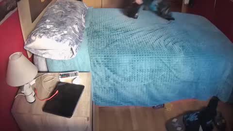 Snapshot of davidlg00 chatting on February 20, 2025, 11:09 am Hugo online show from February 20, 2025, 11:09 am