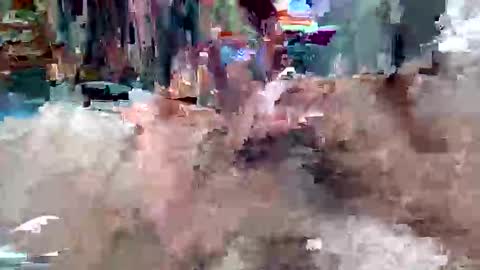 davidmarioslick online show from May 23, 2026, 1:04 pm