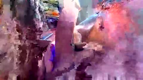 davidmarioslick online show from June 9, 2026, 12:06 pm