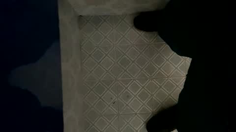 Snapshot of davzsoher chatting on January 6, 2025, 8:07 pm davzsoher online show from January 6, 2025, 8:07 pm