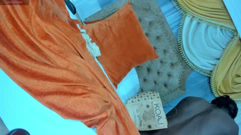 Snapshot of day_alexa chatting on December 19, 2024, 11:35 pm Day Alexa online show from December 19, 2024, 11:35 pm