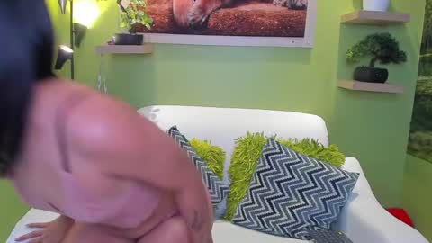 Snapshot of dayan_torres chatting on May 11, 2026, 2:45 pm dayan_torres online show from May 11, 2026, 2:45 pm