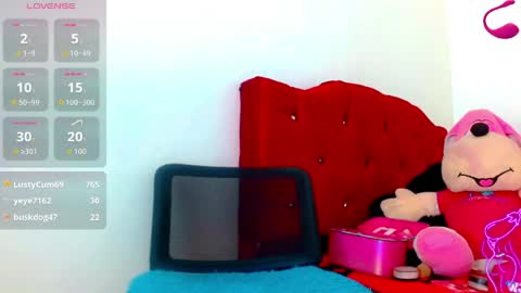 dayana_dias online show from June 3, 2026, 10:29 am