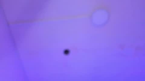 dayana_harlow2 online show from January 16, 2025, 1:16 am