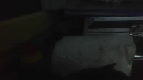 Snapshot of de_maskedcouple chatting on January 19, 2025, 1:43 am de_maskedcouple online show from January 19, 2025, 1:43 am