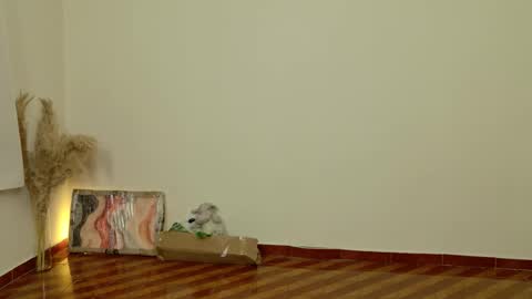 Dean online show from February 6, 2026, 8:45 pm