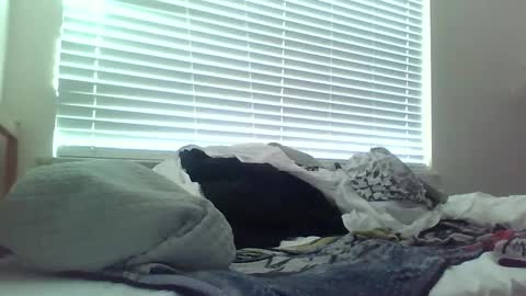 delightfuldark online show from February 15, 2025, 11:47 pm