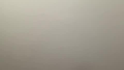 Delivery      online show from January 4, 2025, 9:52 pm