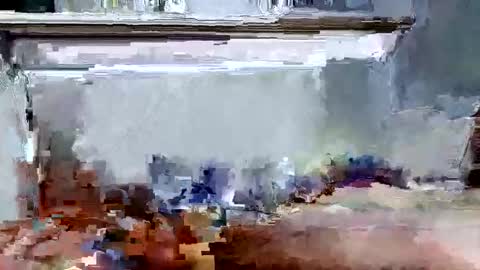 demonseed9325 online show from June 3, 2026, 1:03 pm