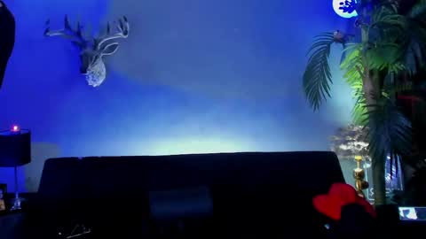 Snapshot of dennis_cox_ chatting on May 21, 2026, 7:59 am dennis_cox_ online show from May 21, 2026, 7:59 am