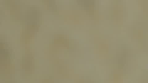 dennis munera online show from December 7, 2024, 3:30 pm