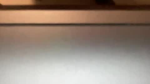 densex123 online show from March 4, 2025, 10:16 pm