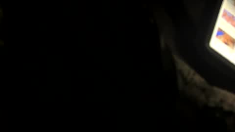 Snapshot of dfcbeibi19 chatting on November 16, 2025, 10:43 am dfcbeibi19 online show from November 16, 2025, 10:43 am