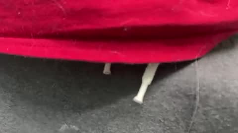 diag033014 online show from February 11, 2026, 12:15 am