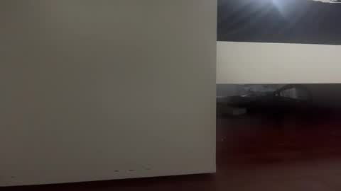 dickmanthe1 online show from January 13, 2026, 6:57 pm