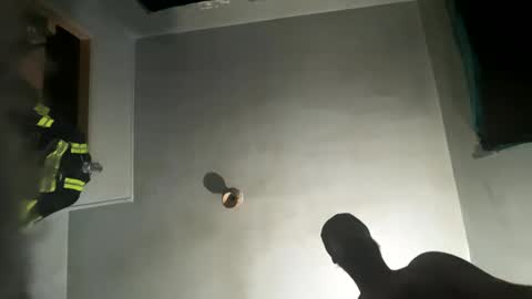 Snapshot of dickybigball chatting on October 9, 2025, 11:52 am dickybigball online show from October 9, 2025, 11:52 am