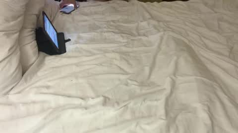 Dielitas online show from April 6, 2026, 1:56 pm