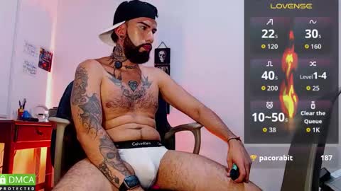  Dylan  online show from February 3, 2026, 2:53 am