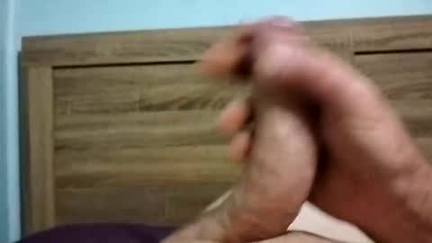 dingo_250 online show from October 6, 2025, 12:35 pm