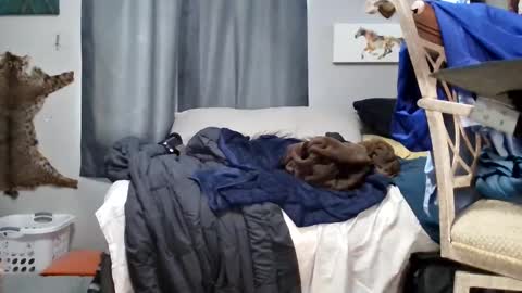 dinodick4uall online show from February 9, 2025, 3:01 pm