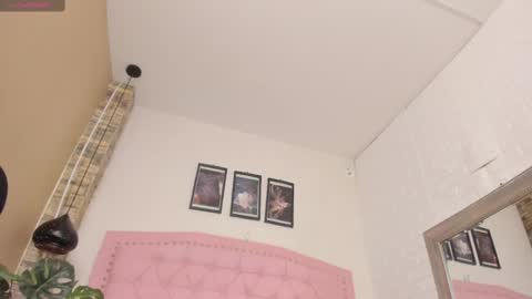 DIOSA online show from February 18, 2025, 3:10 am