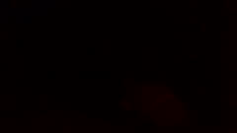 dixienormes online show from December 8, 2024, 11:14 am