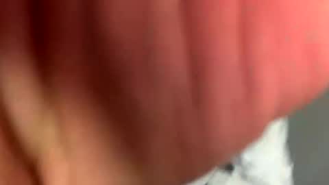 Snapshot of dixkzilla chatting on May 2, 2026, 10:59 pm dixkzilla online show from May 2, 2026, 10:59 pm
