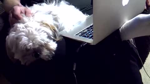 Snapshot of dkdad1966 chatting on December 4, 2025, 3:43 pm DKdad online show from December 4, 2025, 3:43 pm