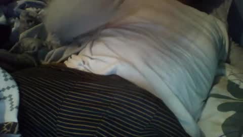 Snapshot of dockomodo77 chatting on December 3, 2025, 8:56 am Alex online show from December 3, 2025, 8:56 am