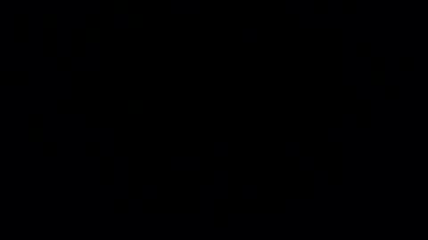 MizzIssy online show from November 20, 2025, 2:56 am