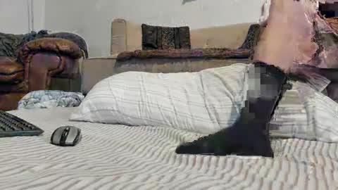 Snapshot of domsxyqte chatting on January 17, 2025, 9:17 pm Rick online show from January 17, 2025, 9:17 pm