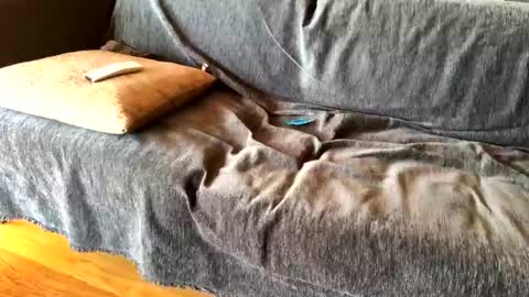 Alfredo online show from February 20, 2025, 8:39 am