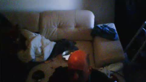 donosus online show from February 28, 2026, 10:05 am