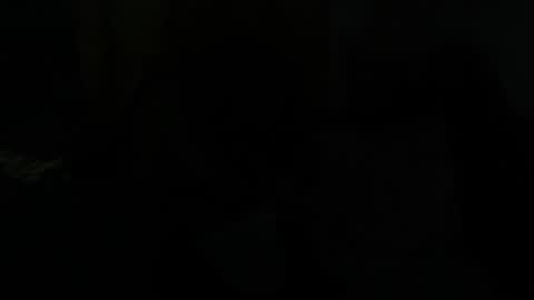 Dragon online show from January 28, 2025, 7:43 am