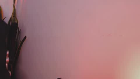 drake_cole11 online show from February 4, 2025, 3:22 am