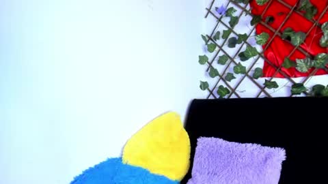 Dreyk online show from August 7, 2026, 8:33 pm